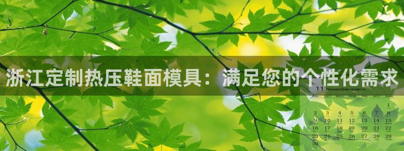 emc全站app下载