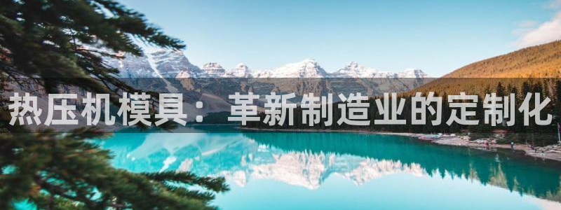 emc易倍黑吗：热压机模具：革新制造业的定制化
