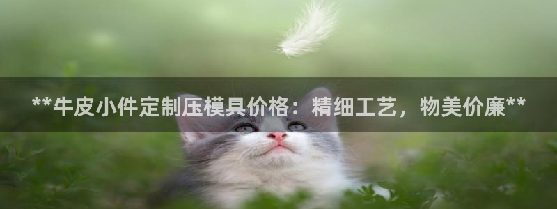 易倍达科技有限公司代运营：**牛皮小件定制压模具价格：精