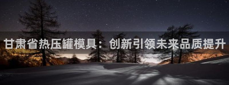 emc易倍是黑台子吗：甘肃省热压罐模具：创新引领未来品质