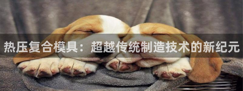 易倍申和易倍清的区别：热压复合模具：超越传统制造技术的新
