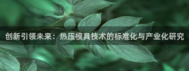 emc频率：创新引领未来：热压模具技术的标准化与产业化研