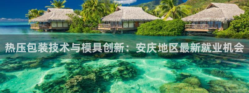 emc易倍官网app官网：热压包装技术与模具创新：安庆地