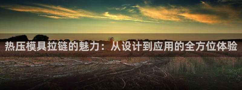 易倍网页版登录：热压模具拉链的魅力：从设计到应用的全方位