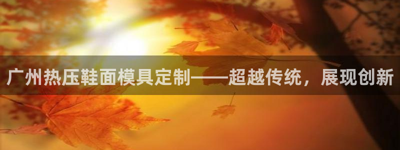 emc备份软件：广州热压鞋面模具定制——超越传统，展现创