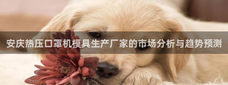 易倍申能长期吃吗：安庆热压口罩机模具生产厂家的市场分析与