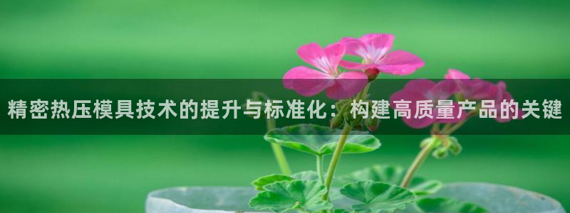 emc易倍最新链接：精密热压模具技术的提升与标准化：构建