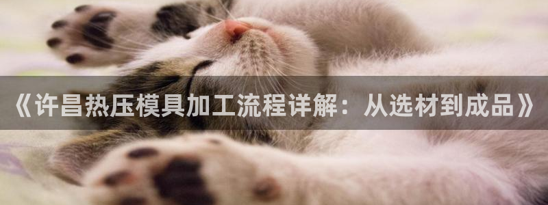 emc易倍网页版：《许昌热压模具加工流程详解：从选材到成
