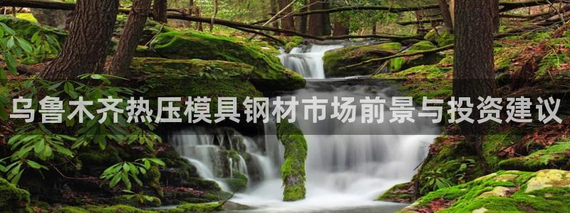 emc app下载：乌鲁木齐热压模具钢材市场前景与投资建