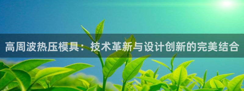 易倍申的价格：高周波热压模具：技术革新与设计创新的完美结