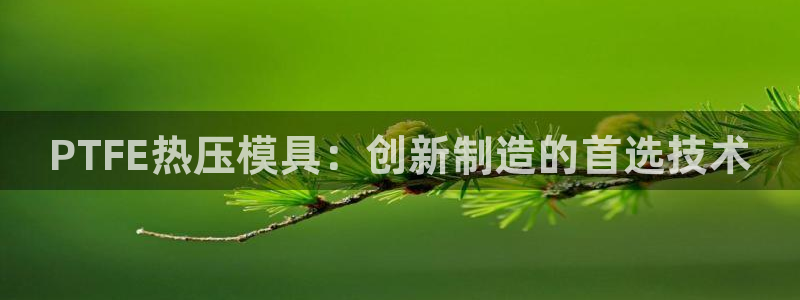 易倍网络技术有限公司怎么样：PTFE热压模具：创新制造的