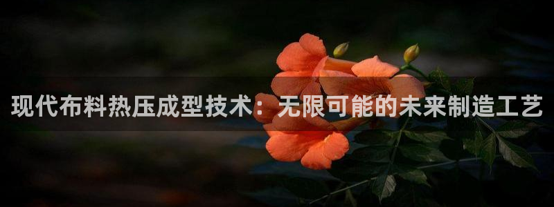 易倍单词官方网站的：现代布料热压成型技术：无限可能的未来