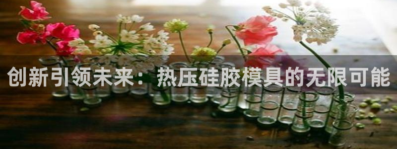 易倍纤多少钱：创新引领未来：热压硅胶模具的无限可能