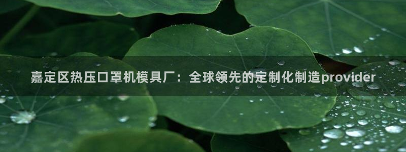 易倍app官网下载：嘉定区热压口罩机模具厂：全球领先的定