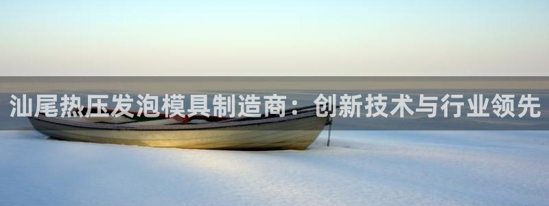 易倍emc安全吗：汕尾热压发泡模具制造商：创新技术与行业
