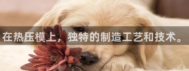 易倍申有用吗：在热压模上，独特的制造工艺和技术。