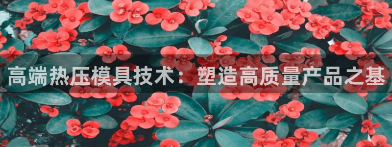 emc服务器是干啥的：高端热压模具技术：塑造高质量产品之