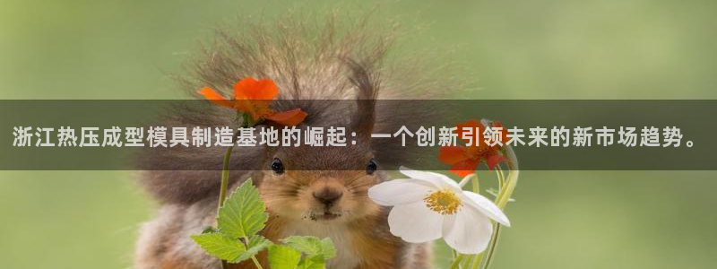 易倍单词登录网站：浙江热压成型模具制造基地的崛起：一个创