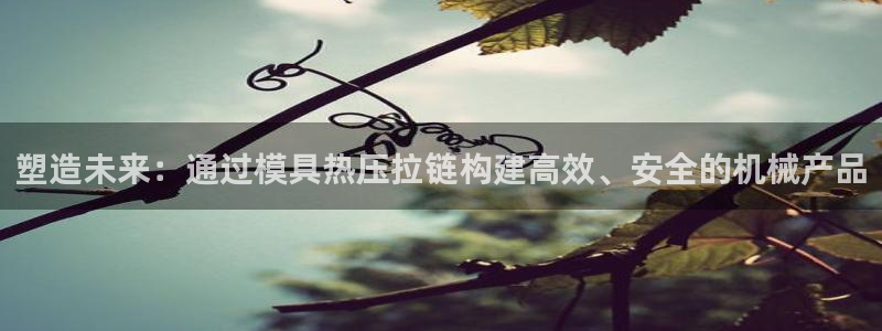 emc倍频干扰怎么解决：塑造未来：通过模具热压拉链构建高
