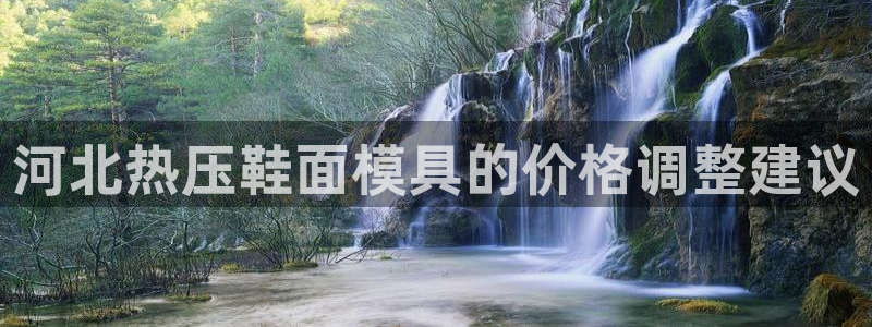 易倍申每盒价格是多少?：河北热压鞋面模具的价格调整建议