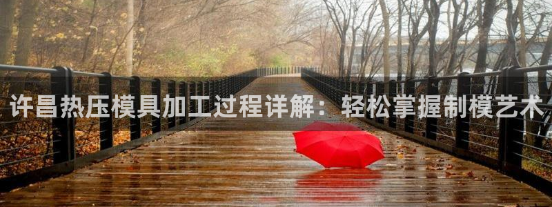 易倍达科技有限公司官网：许昌热压模具加工过程详解：轻松掌