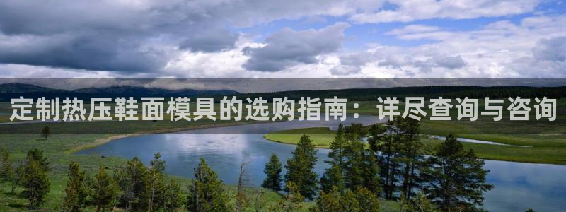 易倍科华生物科技有限公司：定制热压鞋面模具的选购指南：详