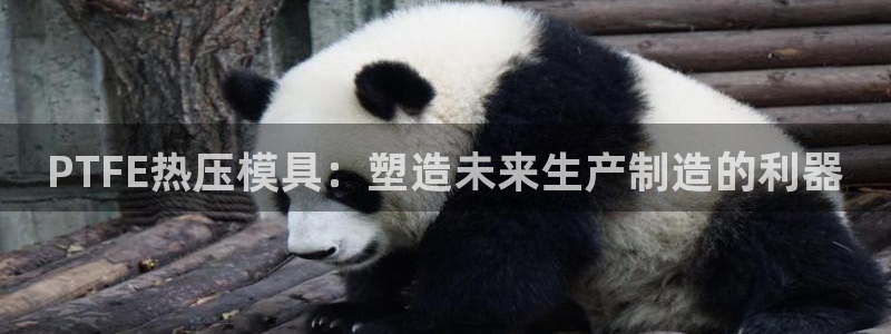 易倍申每盒价格是多少?：PTFE热压模具：塑造未来生产制