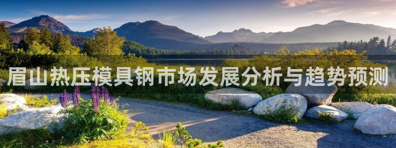 易倍纤价格：眉山热压模具钢市场发展分析与趋势预测