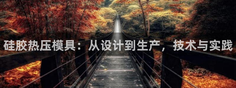 易倍申的价格