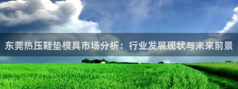 南京易倍易电子科技有限公司：东莞热压鞋垫模具市场分析：行