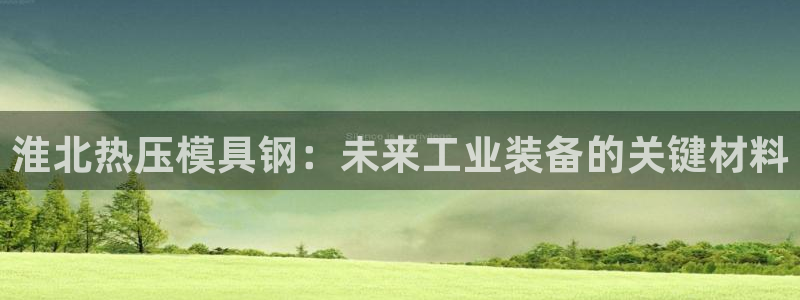 易倍纤谷物粉效果好吗：淮北热压模具钢：未来工业装备的关键