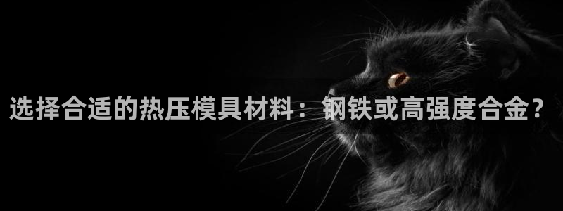 emc易倍官方下载：选择合适的热压模具材料：钢铁或高强度