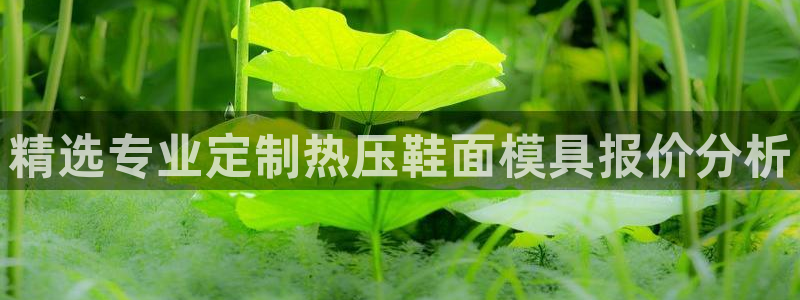emc全站ag：精选专业定制热压鞋面模具报价分析
