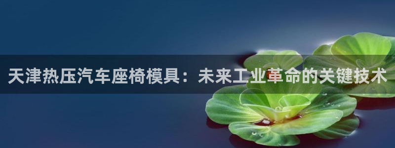 易倍申厂家:天津热压汽车座椅模具:未来工业革命的关键技术