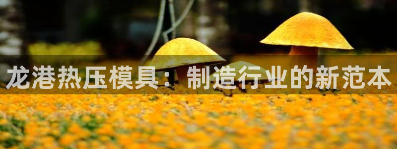 易倍纤减肥价格：龙港热压模具：制造行业的新范本