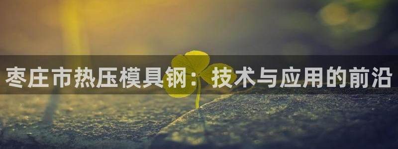 易倍网络技术有限公司怎么样：枣庄市热压模具钢：技术与应用