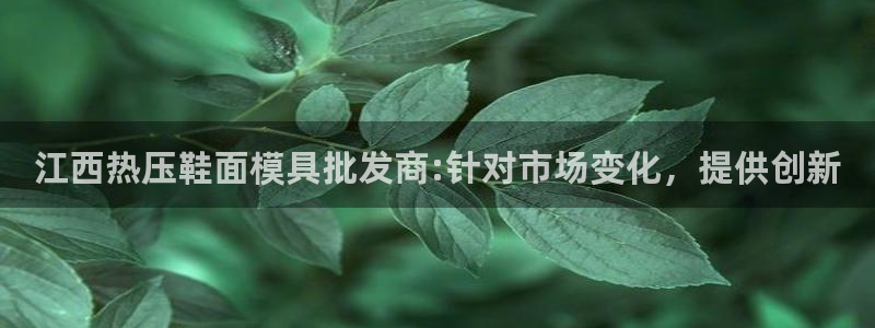 EMC易倍：江西热压鞋面模具批发商:针对市场变化，提供创