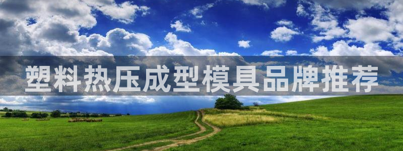 易倍申安理申区别：塑料热压成型模具品牌推荐