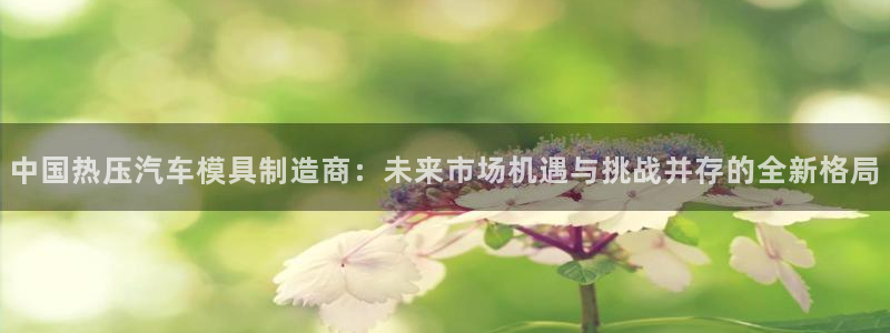 易倍申多少钱一盒：中国热压汽车模具制造商：未来市场机遇与
