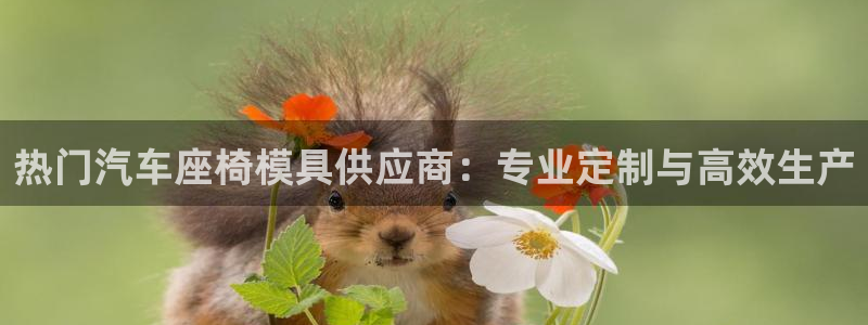 易倍电竞,有球必应:热门汽车座椅模具供应商:专业定制与高