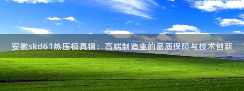 易倍app官网下载安装：安徽skd61热压模具钢：高端制