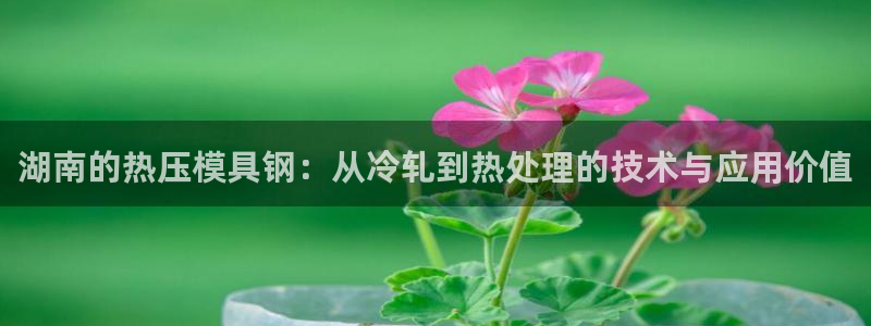 emc平台：湖南的热压模具钢：从冷轧到热处理的技术与应用