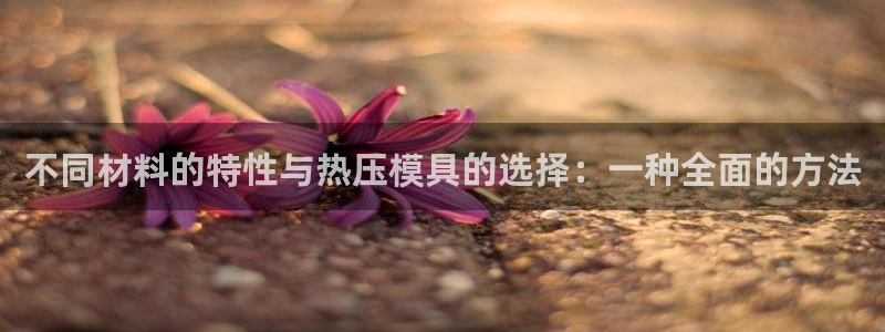 易倍单词app官网：不同材料的特性与热压模具的选择：一种