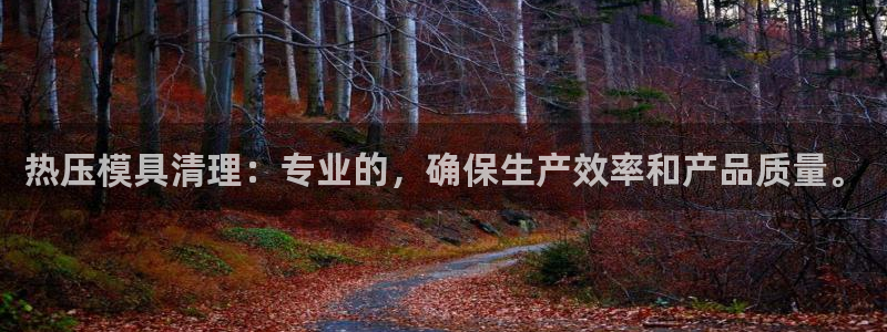 易倍申每盒价格是多少?:热压模具清理:专业的,确保生产效