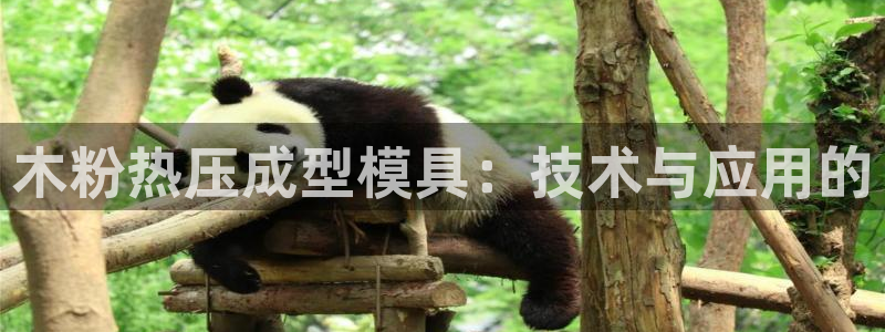 emc易倍:木粉热压成型模具:技术与应用的