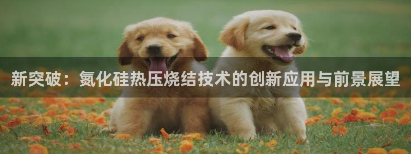 EMC倍频是什么意思