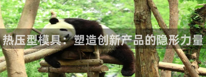 emc易倍的服务优势:热压型模具:塑造创新产品的隐形力量