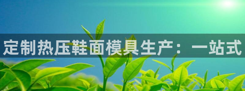 emc易倍全站：定制热压鞋面模具生产：一站式