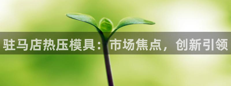 易倍申厂家
