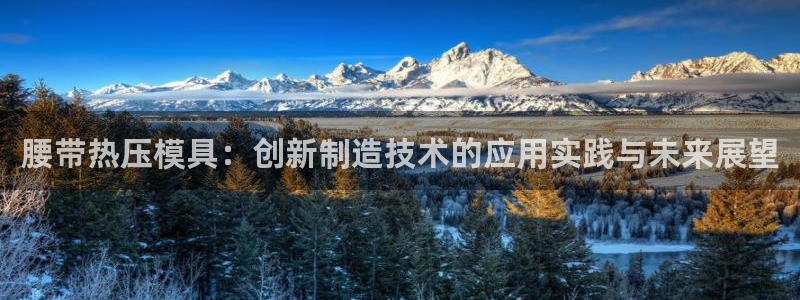 emc易倍官网登录首页:腰带热压模具:创新制造技术的应用